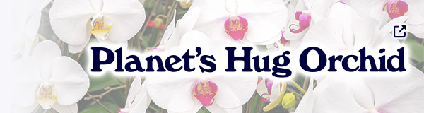 Planet's Hug Orchid ブランドサイト